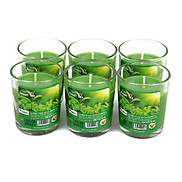 Hộp 6 ly nến thơm votive Miss Candle FTRAMART NQM0413 Green Tea Hương trà