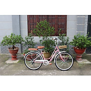 Xe Đạp Đường Phố SMNBike NH 26-24 - 26 inch  cao trên 167cm