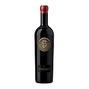 Rượu Vang Đỏ Chile Ochagavia Don Silvestre Icon Cabernet Sauvignon