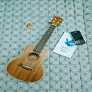 Đàn ukulele concert size 23 inch full mahogany