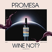 Rượu vang đỏ Promesa Monastrell Syrah