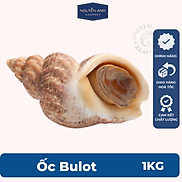 Ốc Bulot Nguyên Anh 1KG chỉ giao HCM