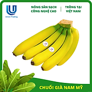 Chuối Tươi Union Trading - Nải 1Kg - Thơm Dẻo, Giàu Dinh Dưỡng