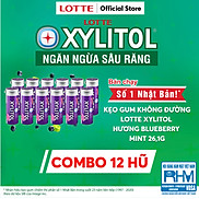 Combo 12 Kẹo Gum không đường Lotte Xylitol - Hương Blueberry Mint 26,1 g