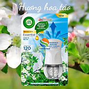 Combo 2 Bộ tinh dầu thơm phòng Air Wick 19ml, nhập khẩu Châu Âu