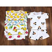 COMBO 5 bộ cotton giấy