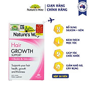 Viên Uống Hỗ Trợ Mọc Tóc Nature s Way Hair Growth Support + Biotin &