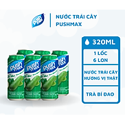 Lốc Lon Nước Trái Cây Trà Bí Đao Pushmax 320ml x 6 Lon