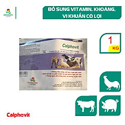 Calphovit-Bổ sung vitamin, khoáng, vi khuẩn hữu ích