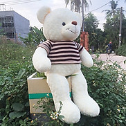 Gấu bông Teddy ICHIGO khổ vải 1m2 màu Kem