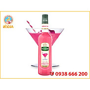 Siro TEISSEIRE Kẹo Cao Su 700ml BUBBLE GUM SYRUP