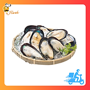 VẸM NỬA MẢNH SIZE 8-10CM - TÚI 1KG