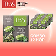 Combo 12 hộp Trà xanh Tess Ginger Mojito vị bạc hà và chanh 20 gói hộp