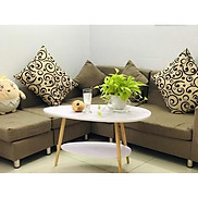 Bàn trà sofa hình Trứng 2 tầng phong cách Bắc Âu  giá tại xưởng