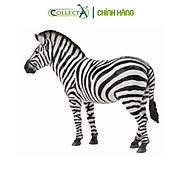 Mô hình thu nhỏ Ngựa Vằn - Common Zebra , hiệu CollectA, mã HS 9651070