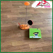 Bộ Đánh Bóng Bàn BITANO Tập Phản Xạ