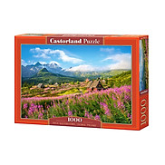 Xếp hình puzzle Hala Gasienicowa, Tatras, Poland 1000 mảnh CASTROLAND C