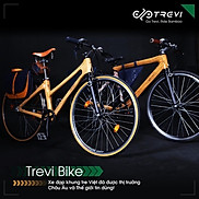 Xe đạp Tre trợ lực điện Trevi Moonlight - Trevi Bike