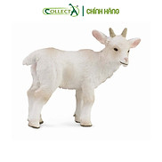 Mô hình thu nhỏ Dê con - Goat Kid - Standing, hiệu CollectA, mã HS 9650151