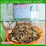 Cây Cơm Cháy khô sạch đóng gói 1kg