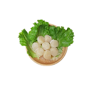 CỒI SÒ ĐIỆP 11 15 - HỘP 1KG