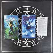 Size Gốc Bộ Bài Book of Shadows Tarot 78 Lá 7x12 Cm Có Hướng Dẫn Tiếng Việt