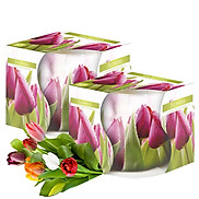 Combo 2 ly nến thơm tinh dầu Bispol Flowers 100g - hương hoa tulips