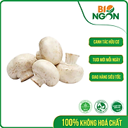 Nấm mỡ trắng  Hộp 200g