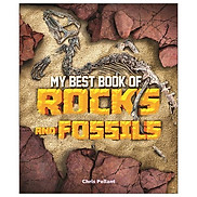 My Best Book Of Rocks And Fossils