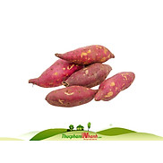 Chỉ Giao HCM - Khoai lang giống nhật Đà Lạt - Loại 1kg