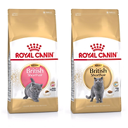 2kg Hạt khô Royal Canin British shorthair cho mèo kitten adult