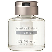 Nước thơm cao cấp dùng cho xe hơi nhãn hiệu Esteban- Mùi hương hoa mận