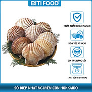 Sò Điệp Nhật nguyên con Hokkaido Size lớn 8-10 con kg, Giao nhanh HCM