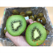 Chỉ Giao HCM - KIWI XANH NEW ZEALAND 1kg