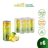 Combo 6 Lon Nước mía có gaz MÍA-HA GAZ hương Citrus 240ml Lon