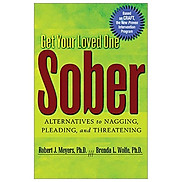 Get Your Loved One Sober Alternatives To Nagging, Pleading, And Threatening