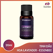 Tinh dầu thiên nhiên Hoa Lavender - Essenbee - 20ml