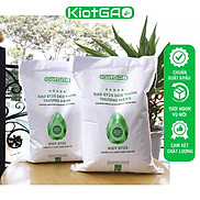 Combo 2 Túi Gạo KIOT ST25 Dẻo Thơm Thượng Hạng - Lúa Mới, Chuẩn Xuất Khẩu