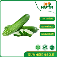 Chỉ Giao HCM - Dưa Leo Ta 450-550g vỉ