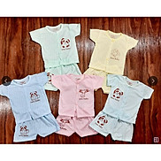 Combo 5 bộ cotton giấy cọc tay mẫu trơn mẫu mới nhất cực đẹp cho bé