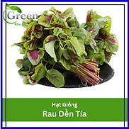 Hạt Giống Rau Dền Tía Nảy Mầm Tốt 20 Gam