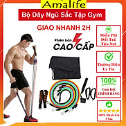 Bộ 5 Dây Ngũ Sắc Đàn Hồi Tập Gym, Tập Thể Hình Amalife - Bản Cao Cấp