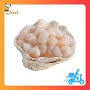 CỒI SÒ ĐIỆP 40 60 CÒI - TÚI 500G