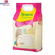 Gạo thơm Tiên Nữ Hạt Ngọc Trời 5kg-3367638