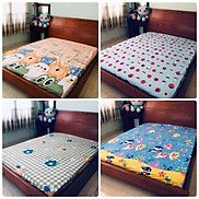 Ga chống thấm cotton cao cấp 1m6x2m 1m8x2m cao 10cm