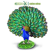 Mô hình thu nhỏ Công - Peacock, hiệu CollectA, mã HS 9651280