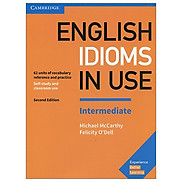 English Idioms in Use Intermediate Book With Answers Vocabulary In Use