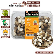 Nấm Mối Đen Tươi Baby 1kg - Nông Trại Nấm Xanh