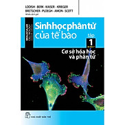 Sách-Sinh Học Phân Tử Của Tế Bào Tập 1