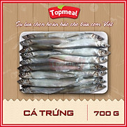 HCM - Cá trứng 700g - Thích hợp với các món nướng, chiên xù, sốt, kho